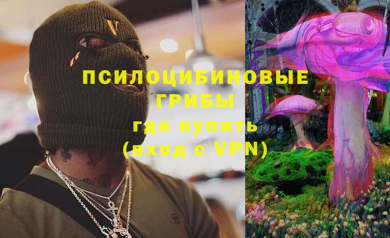 Псилоцибиновые грибы Magic Shrooms  Лесосибирск 